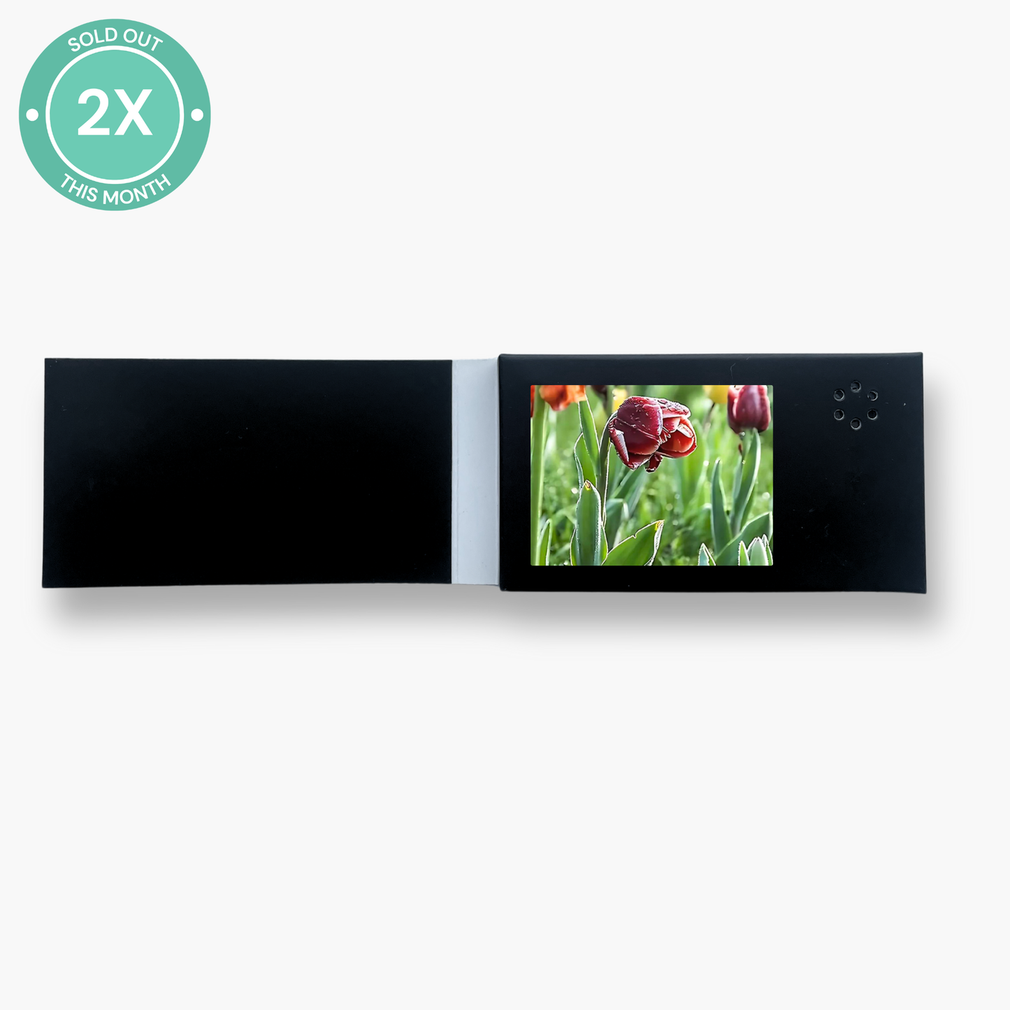 MINI heymemo™ Video Card