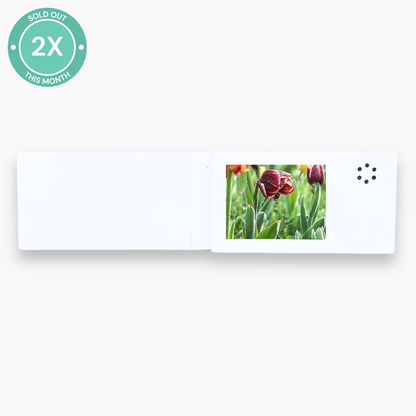 MINI heymemo™ Video Card