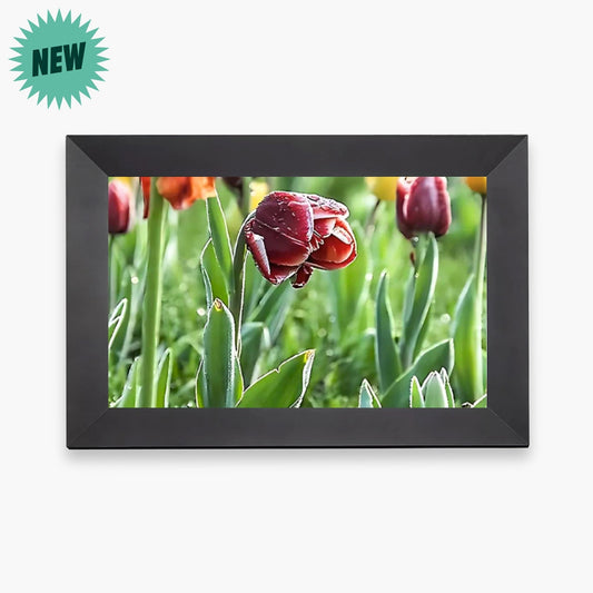 heymemo™ Digital Video Frame