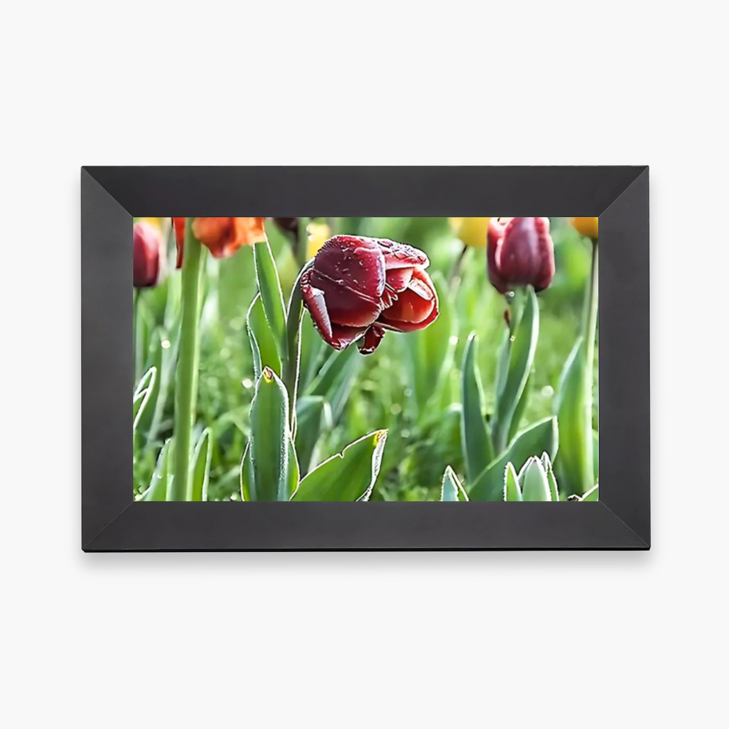 heymemo™ Digital Video Frame