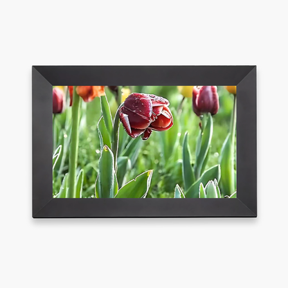 heymemo™ Digital Video Frame