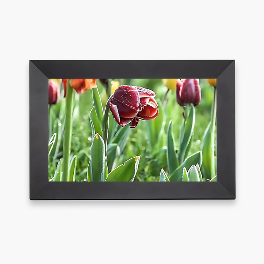 heymemo™ Digital Video Frame