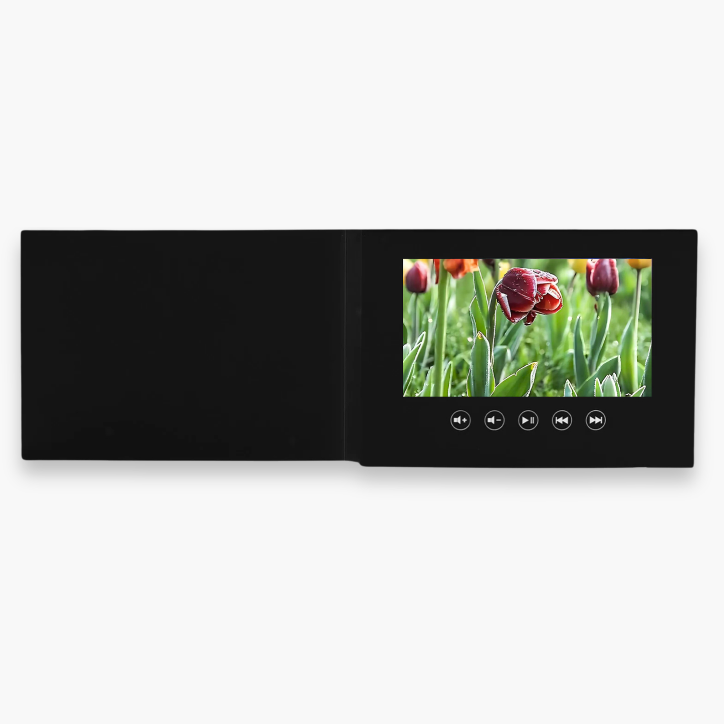 heymemo™ Video Card